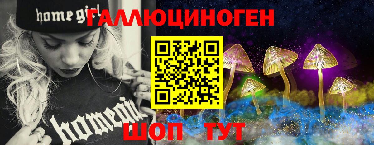 Нижний Новгород  Псилоцибиновые грибы мухоморы  Вход с VPN 