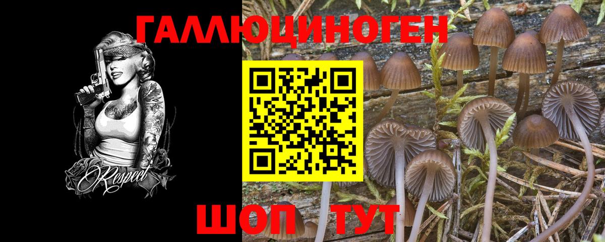Галлюциногенные грибы ЛСД Нижний Новгород