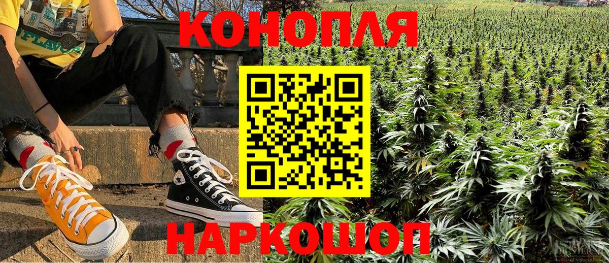 Конопля SATIVA & INDICA Нижний Новгород